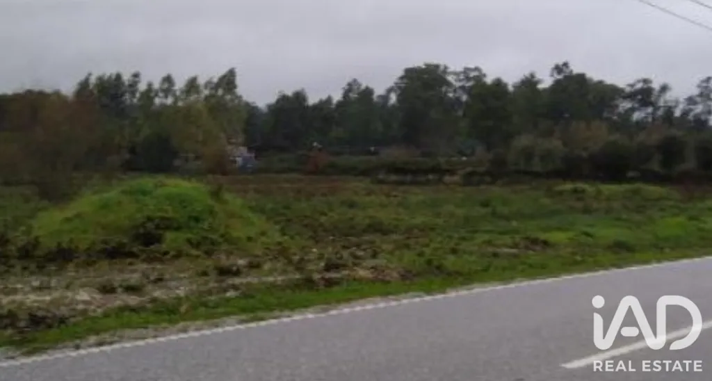 Garden - Rural Land with Expansion Potential in Tondela