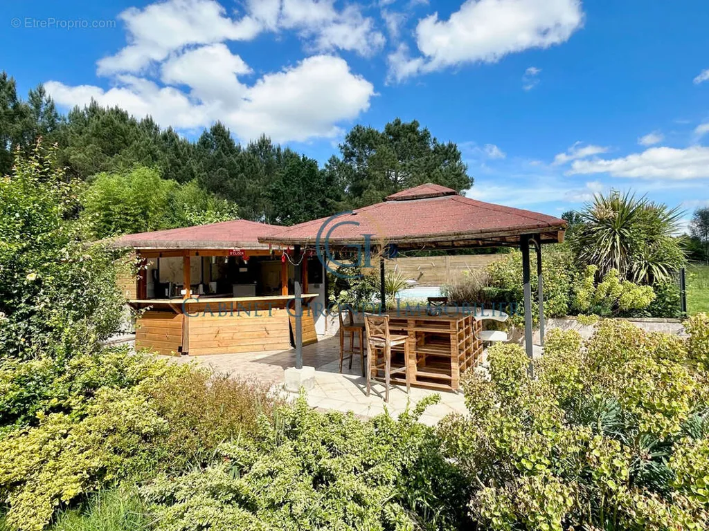terrace_patio