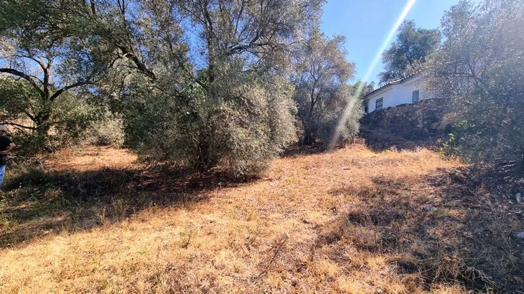 Jardin - Urban Plot with Countryside Views in Santa Ana la Real