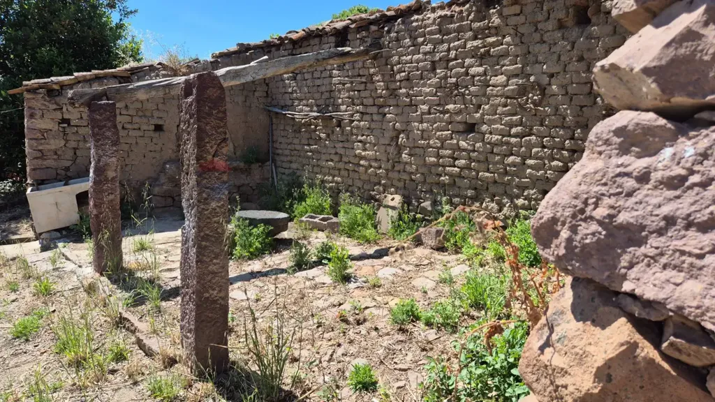 Aed - Rustic House with Olive Grove in Allai