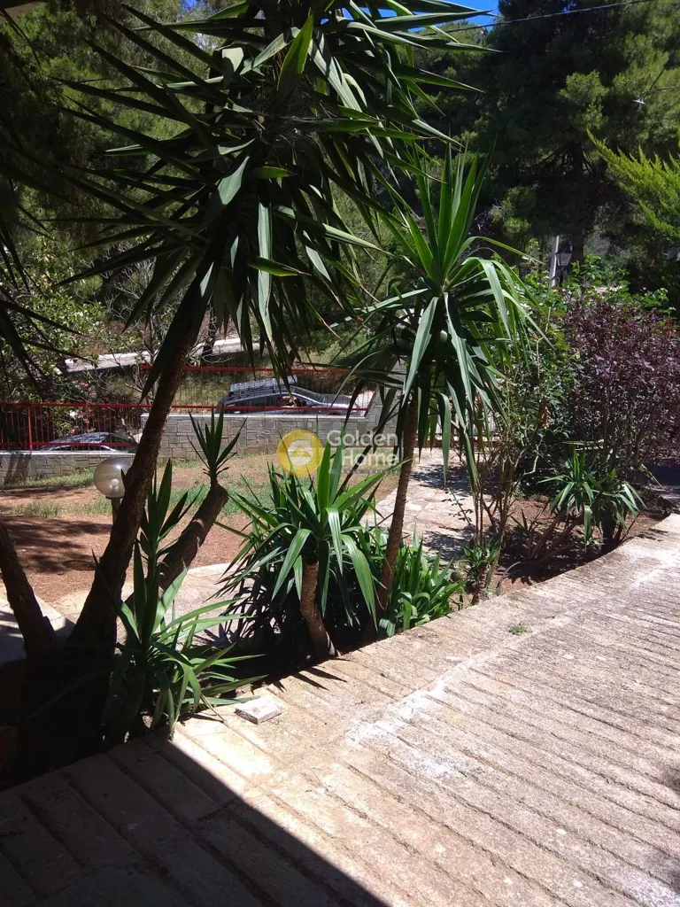 Terrasse - Detached Villa with Pool in Kifissia