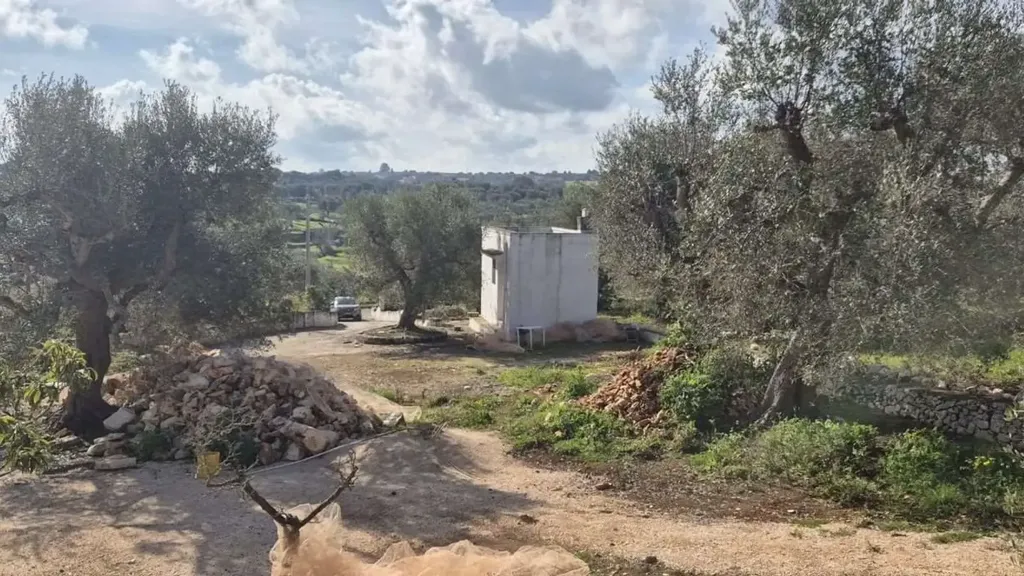 Aed - Rustic Trullo to Renovate in Ostuni