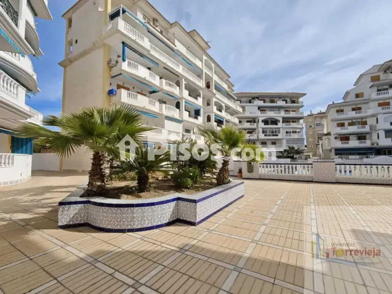 Jardin - Apartment with Sea View in La Mata