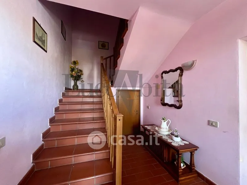 Toad - Apartment with Terrace in Lucca