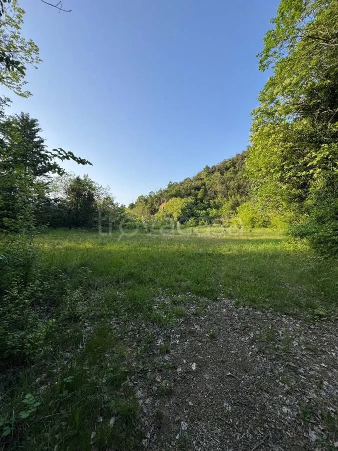 Jardin - Casale with 8 Hectares in Torreglia