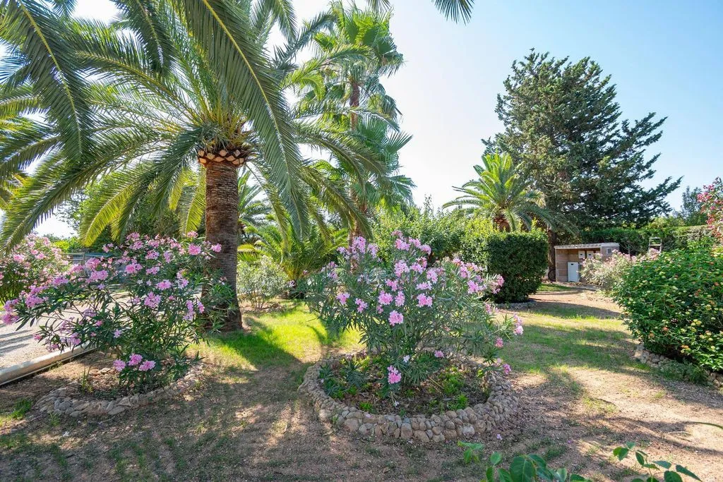 Aed - Luxury Farmhouse with Mountain Views in Binissalem