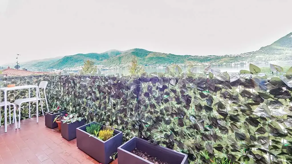 terrace_patio