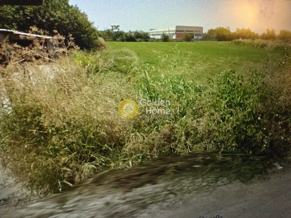 Aed - Agricultural Plot with Unrestricted View in Kalochori
