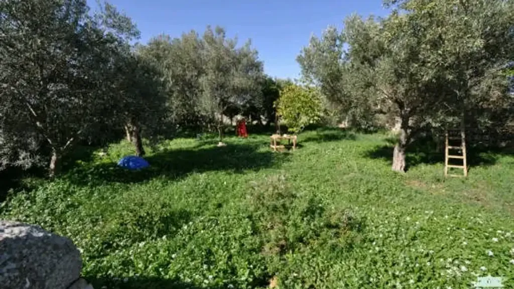 Jardin - Rural Cottage with Garden near Donnafugata