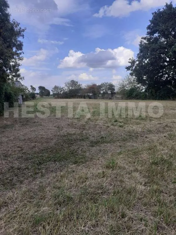 Jardin - Terrain Partiellement Constructible à Saint-Sulpice-des-Landes