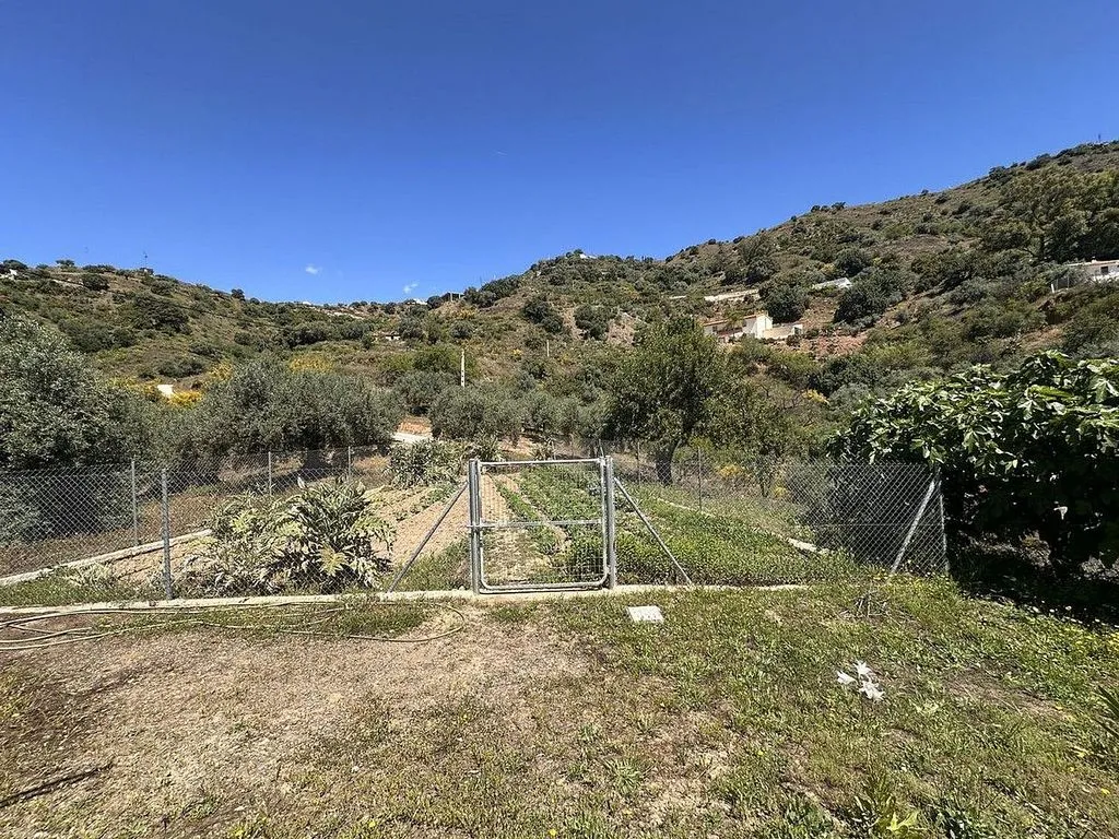 Jardin - Country House with Terrace in Comares