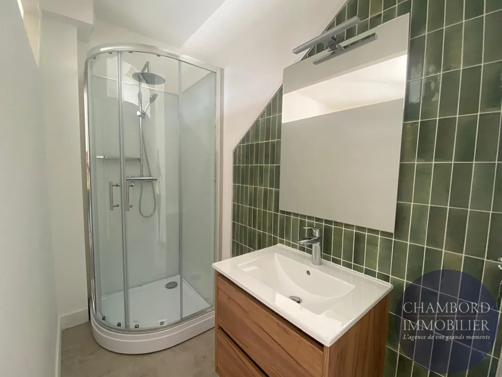 Vannitoad - Ground Floor Flat with Garden in Blois