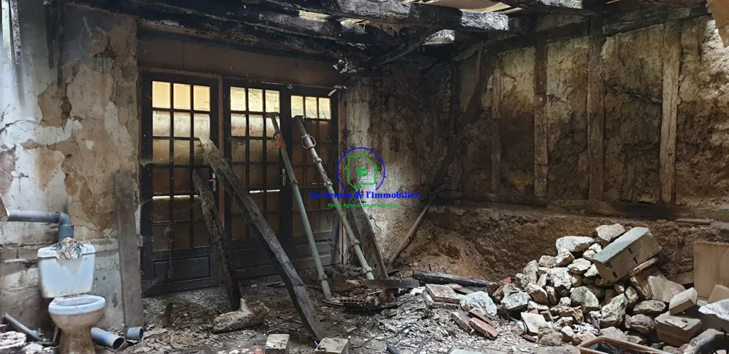 Toad - Townhouse for Renovation in Condom