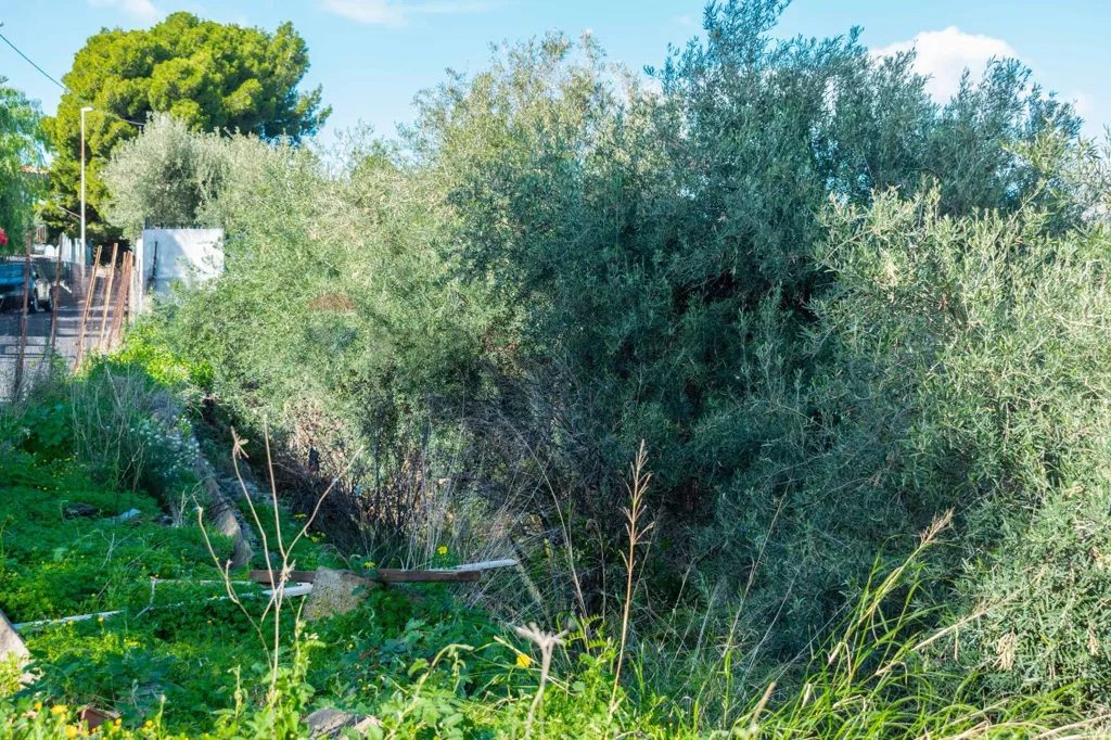Aed - Buildable Plot with Development Potential in Misterbianco