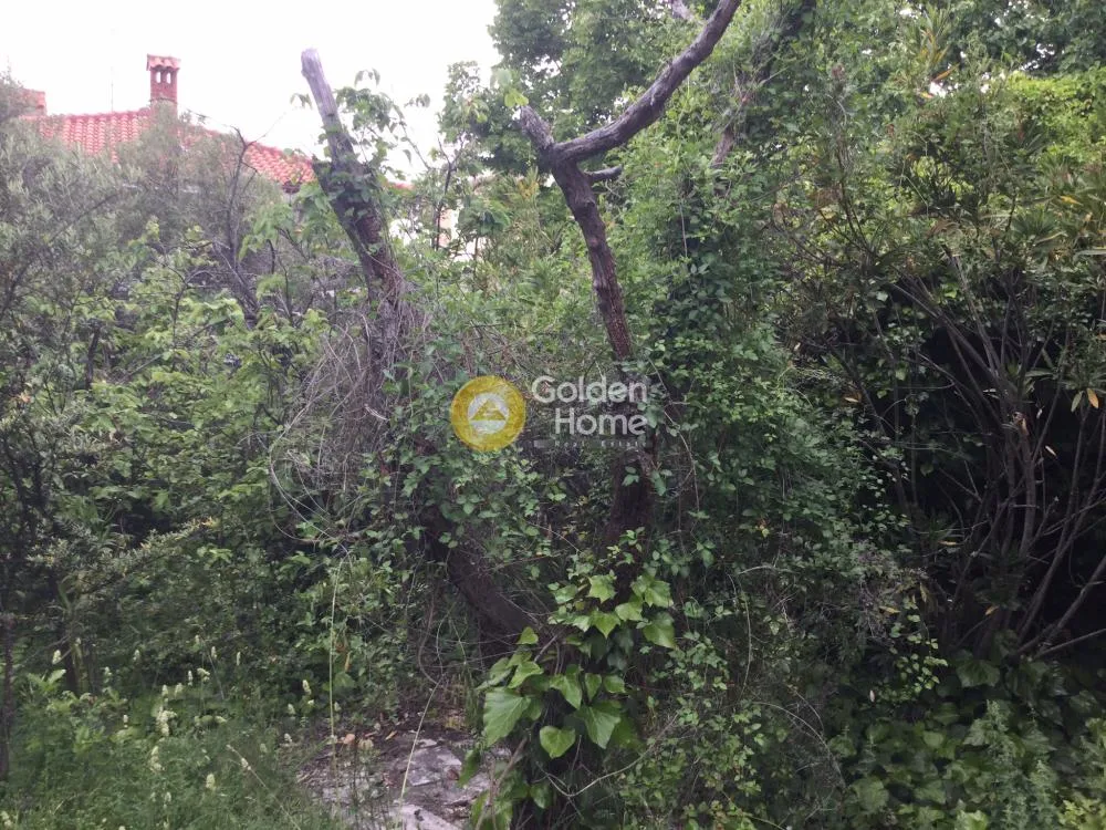 Aed - Buildable Plot with Mountain View in Peuka Centre