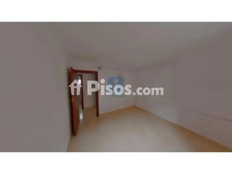 Toad - Occupied Flat in Terrassa, Barcelona