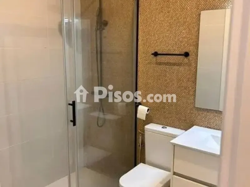 Salles de bain - Reformed Apartment with Terrace in Neguri