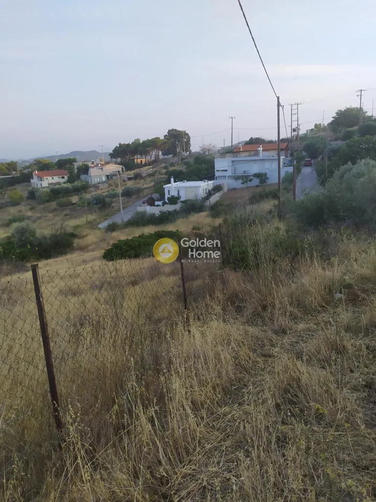 Giardino - Agricultural Plot with Sea View in Rafina Centre