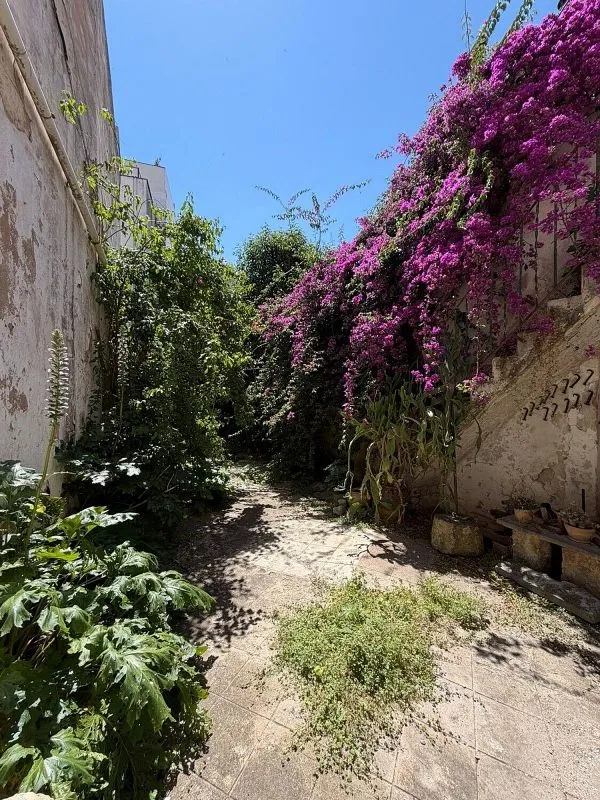 Garden - Historic Chalet with Terrace in Sa Pobla