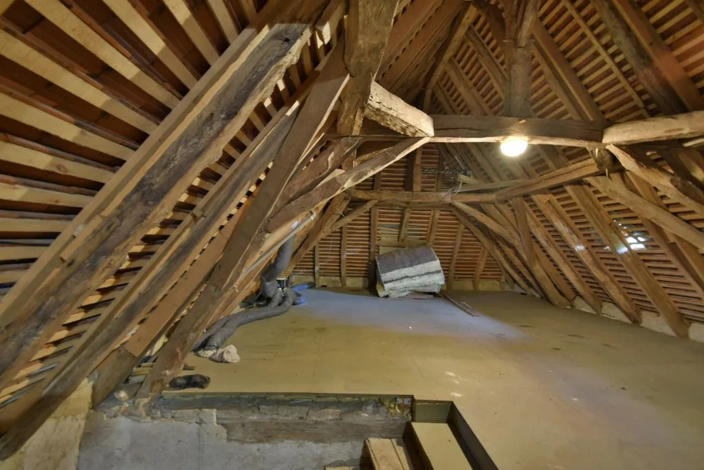 Toad - Luxury Longère with Expansive Land near Bergerac