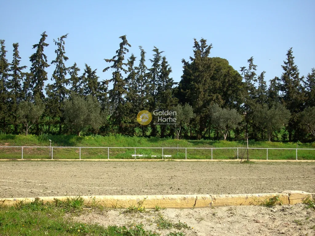 Aed - Plot with View in Koropi, Attica