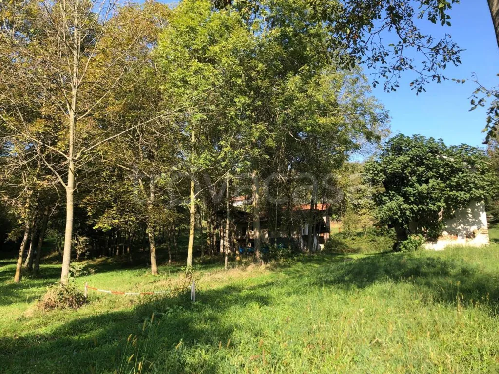 Jardin - Rustic Property to Renovate in Cervasca