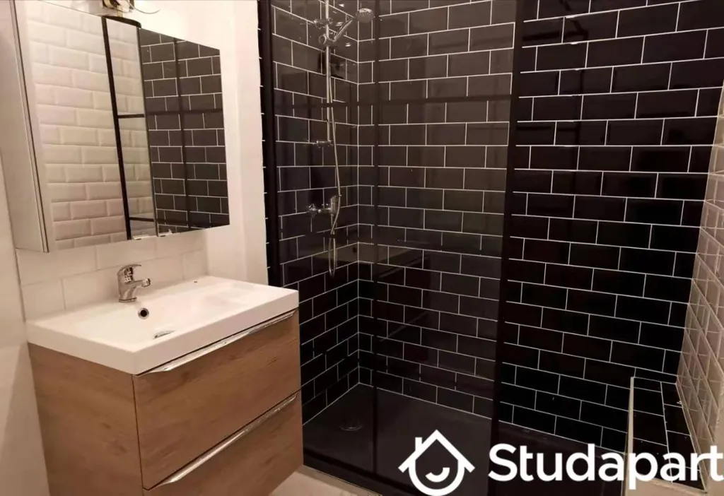 Salles de bain - Chambre en Colocation avec Balcon au Centre de Troyes
