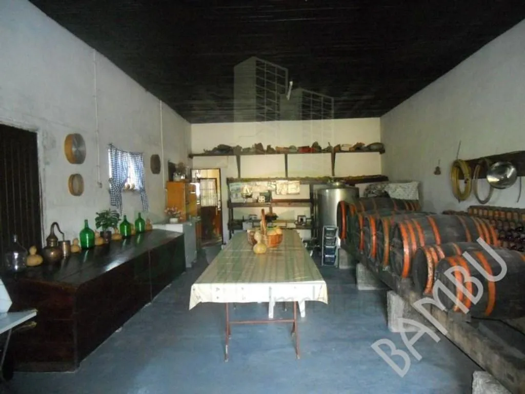 Toad - Luxury Villa with South-Facing Garden in Caminha