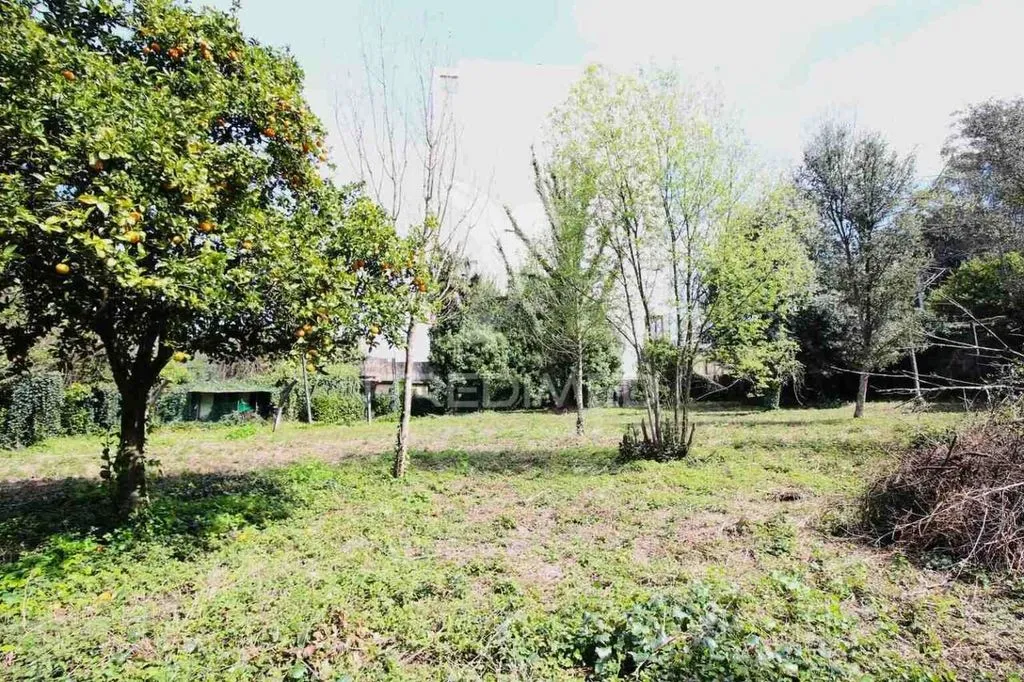 Aed - Development Land with Shops in Guimarães