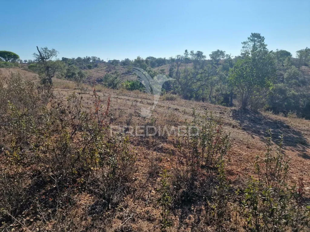 Jardin - Ruin with Construction Potential in São Francisco da Serra