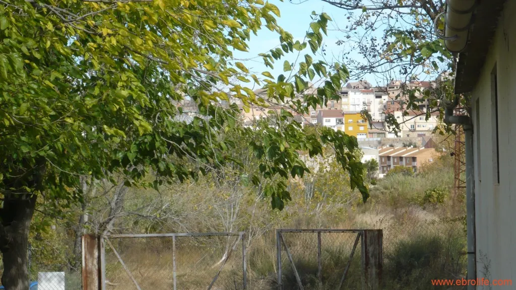 Jardin - Farm with Naves and Service House in Maella