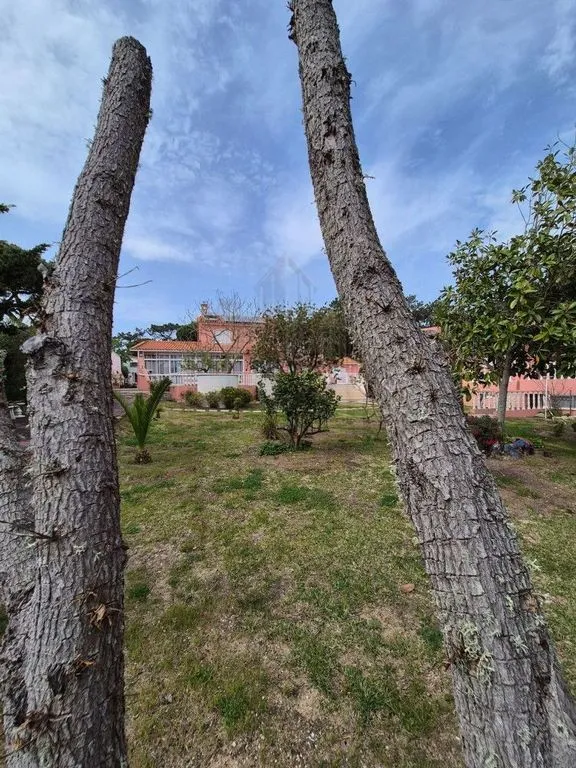 Garden - Luxury House with Pool in Sintra