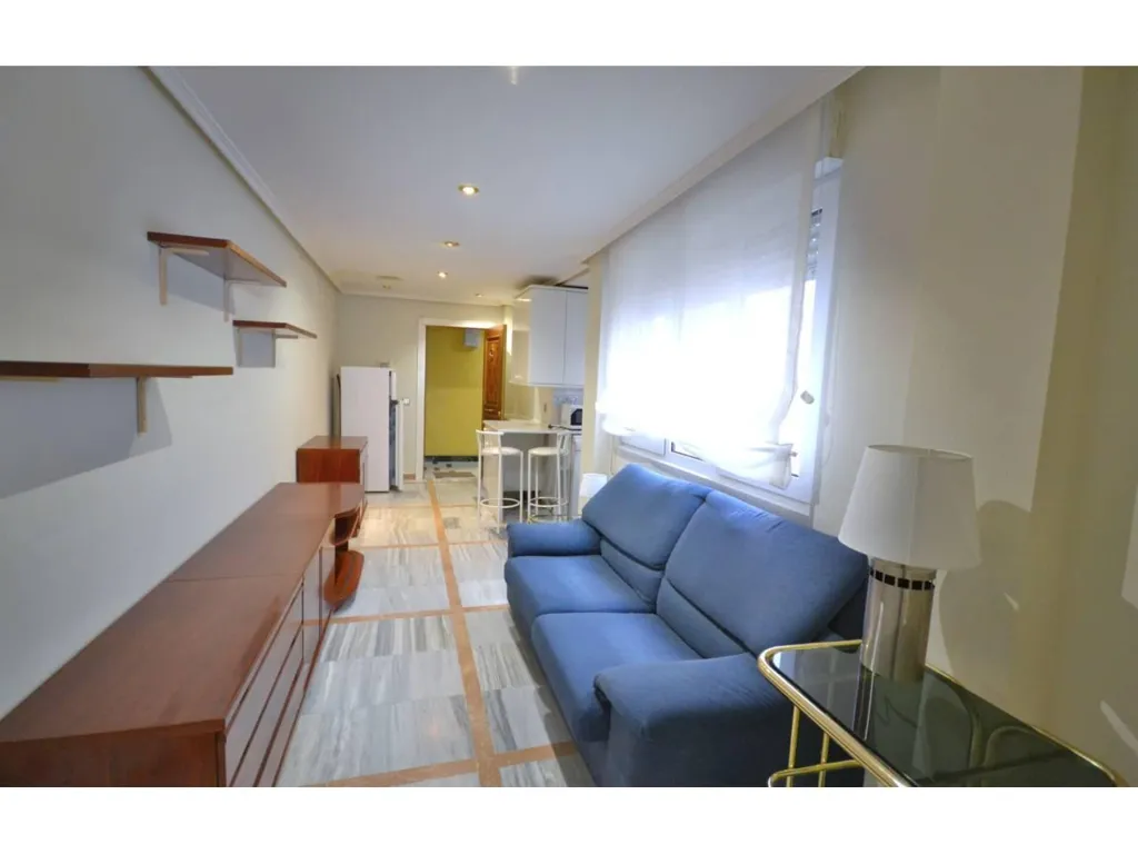Séjour - Furnished Flat with West View in Palencia