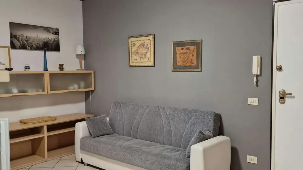Séjour - Apartment with Large Terrace in Sanremo