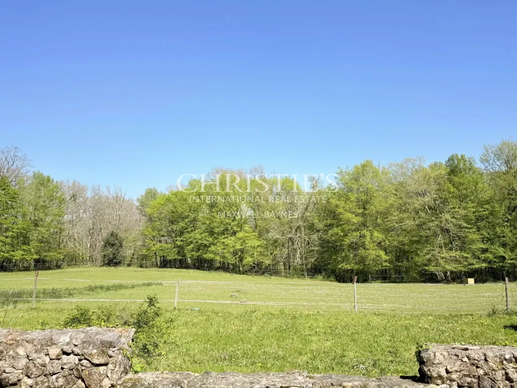 Jardin - Demeure du XVIIe siècle avec Piscine au Périgord