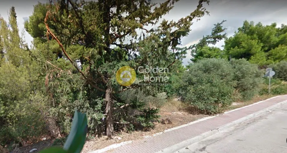 Välivaade - Residential Plot with Garden in Ekalē Centre