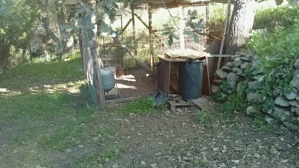 garden