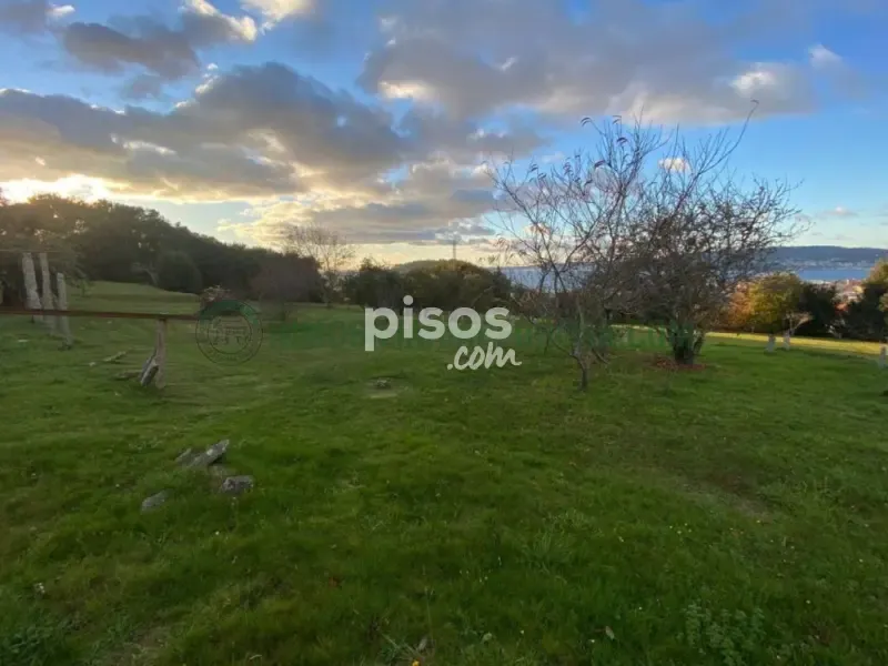 Jardin - Spacious House with Large Garden in Seixo