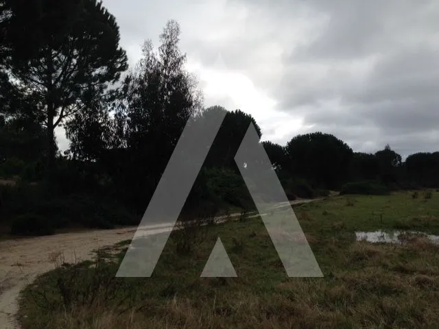 Jardin - Rural Land with Vineyard Potential in Montijo