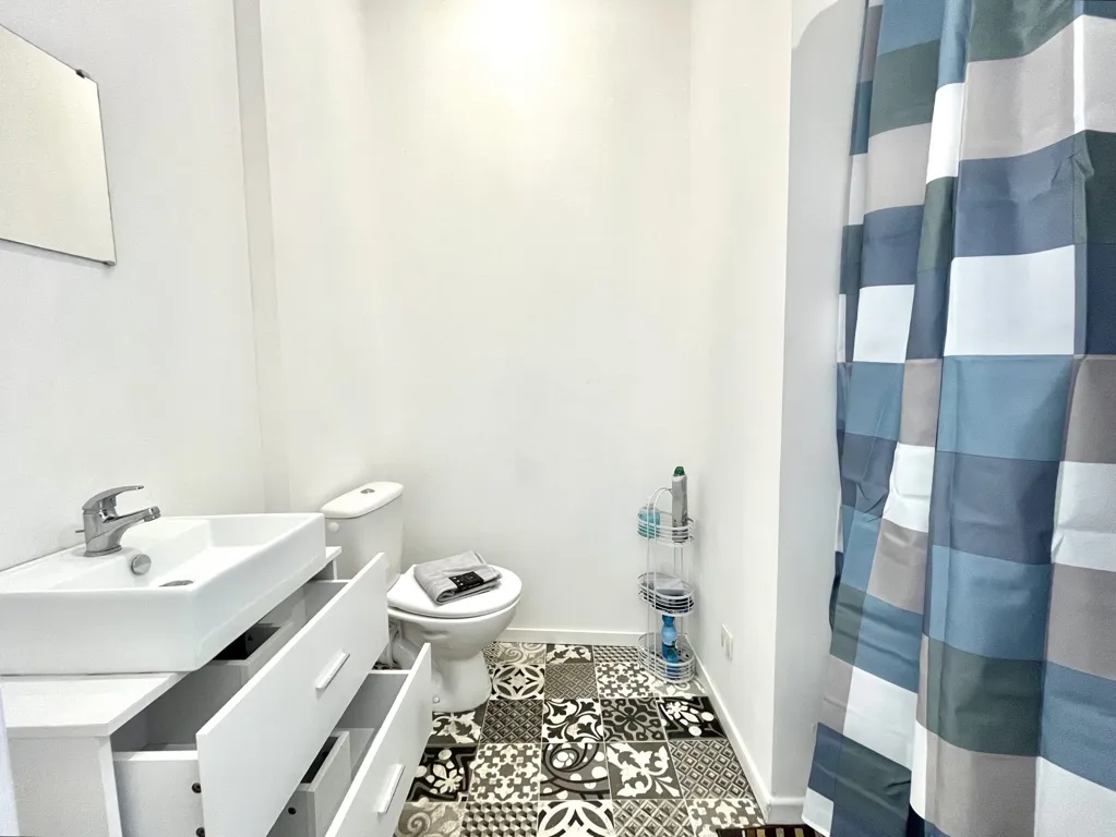 Salles de bain - Appartement Meublé 7 Pièces avec Hauteurs sous Plafond à Lille