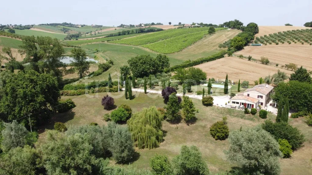 Vista aerea - Rustic Casale with Pool in San Costanzo