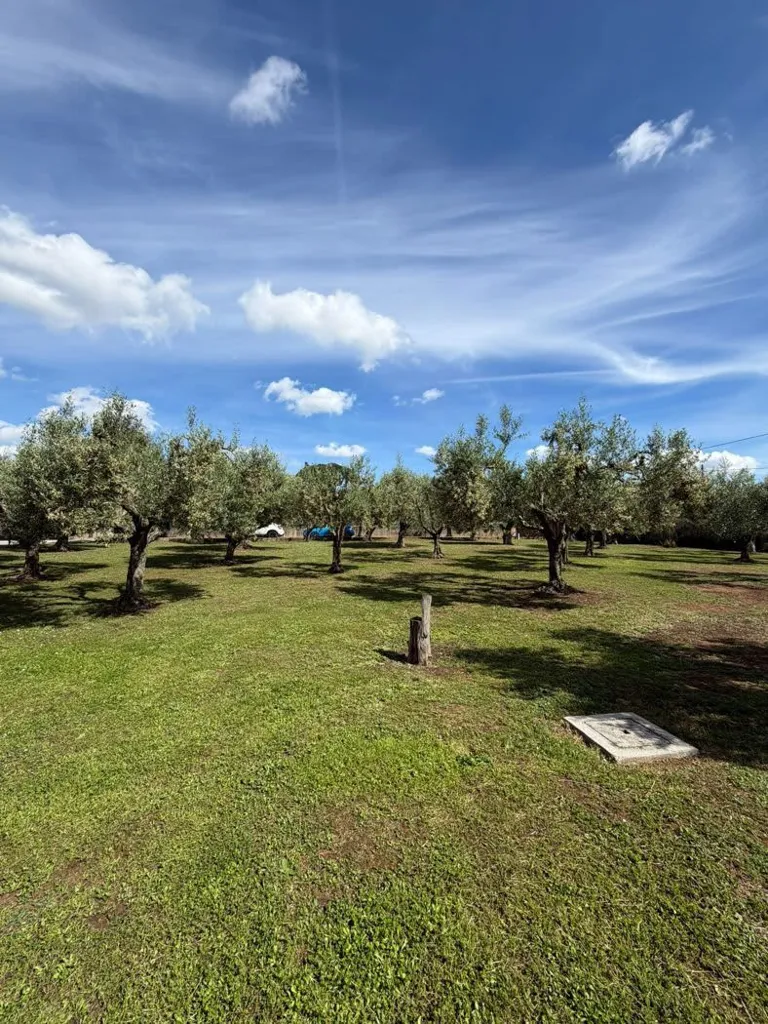 Jardin - Rustic Villa with Garden in Lanuvio