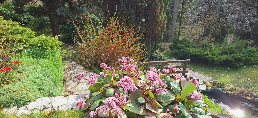 Jardin - Maison Charmante avec Jardin et Vue à Revel