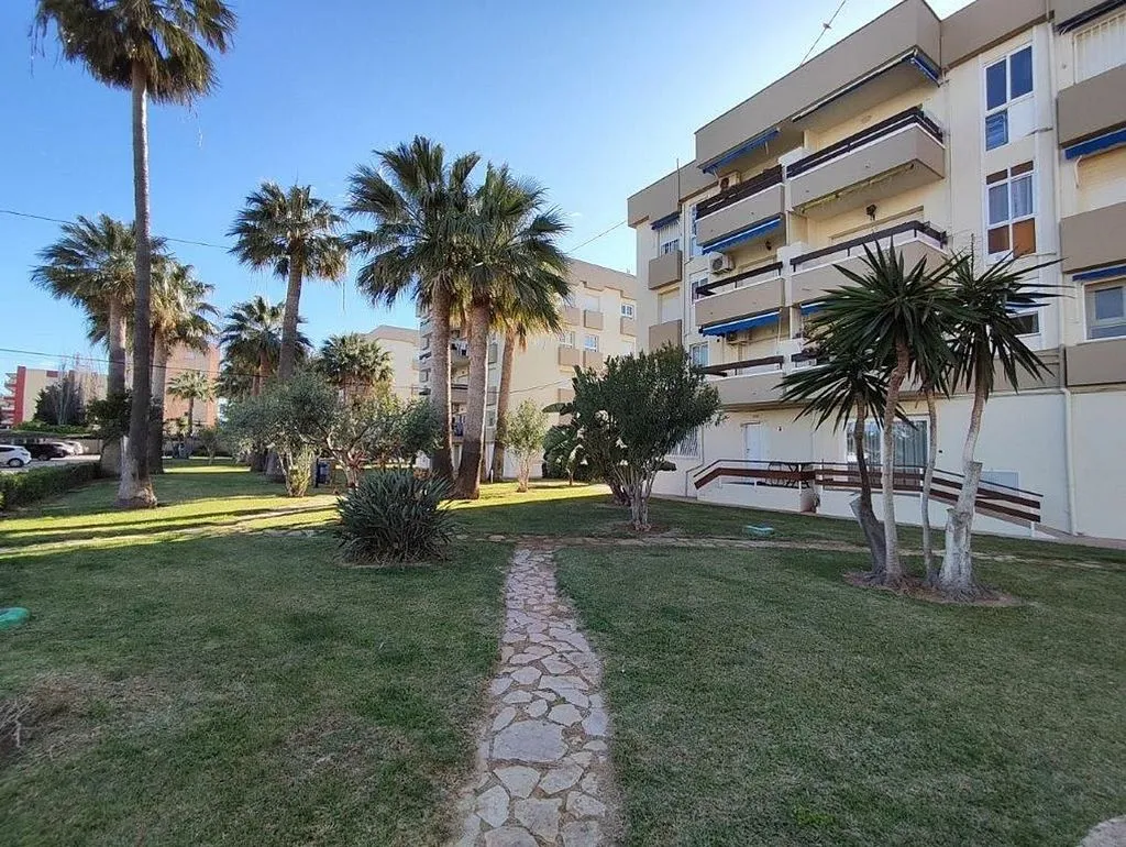 Jardin - Studio with Garden and Garage near Dénia