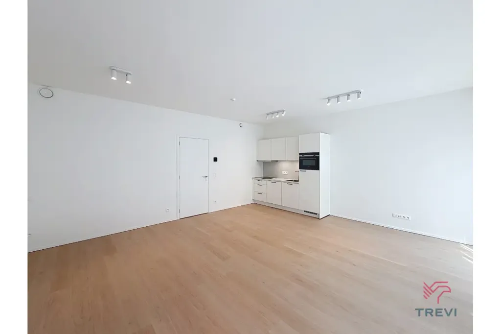 Elutuba - New Studio Flat in Central Brussels
