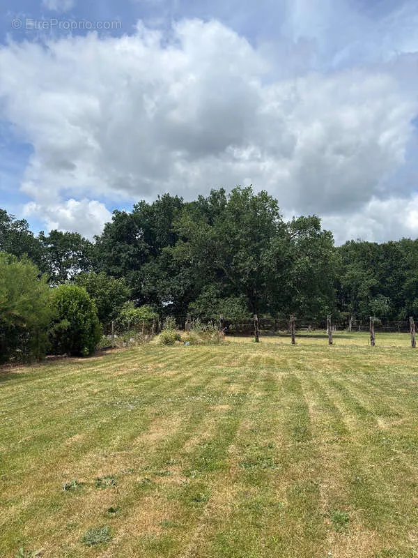 Jardin - Terrain à Saint-Andre-De-Cubzac