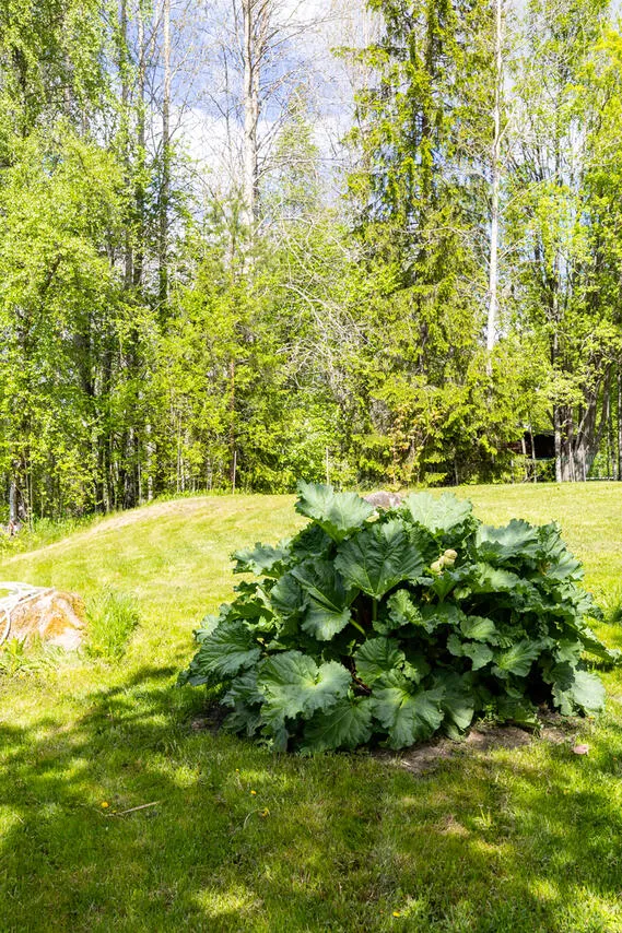 Jardin - Cottage with Private Beach in Ylöjärvi