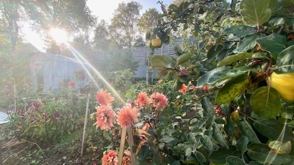 Jardin - Maison de 7 Pièces avec Terrasse au Calme à Monterblanc