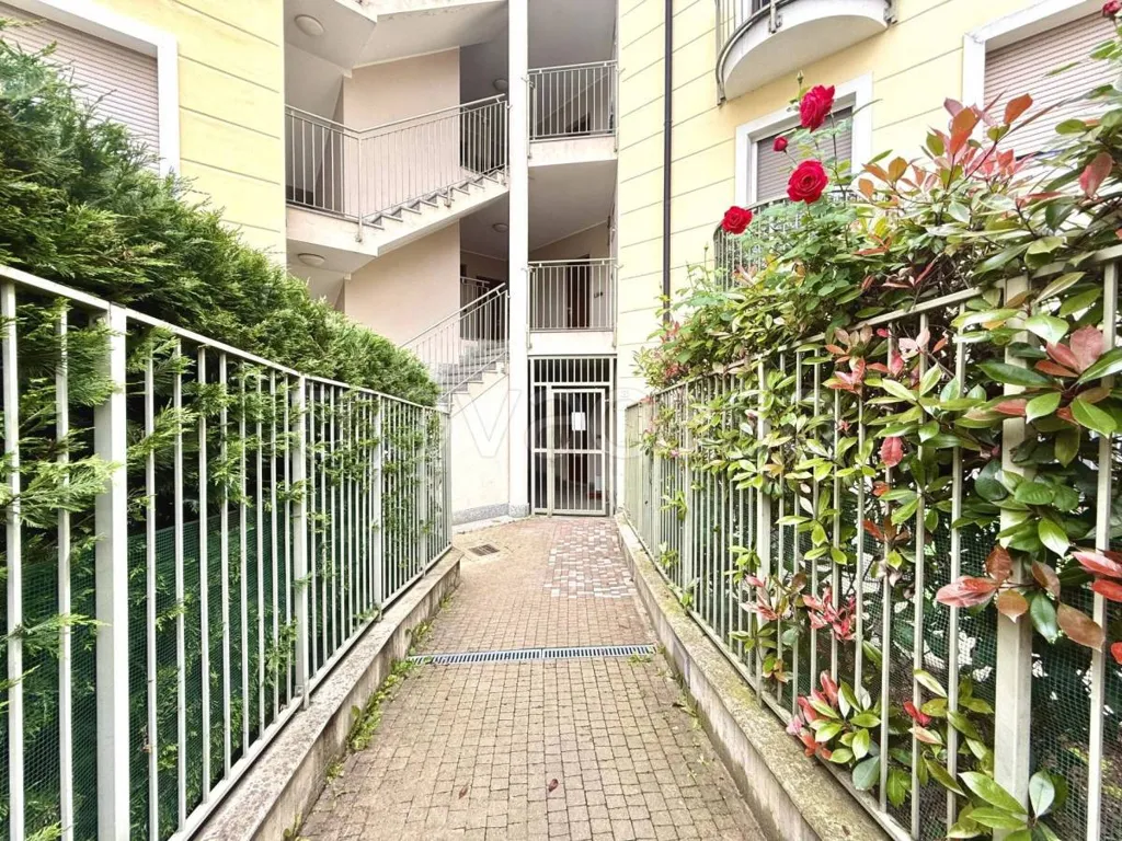 Jardin - Modern Studio with Terrace in Moncalieri