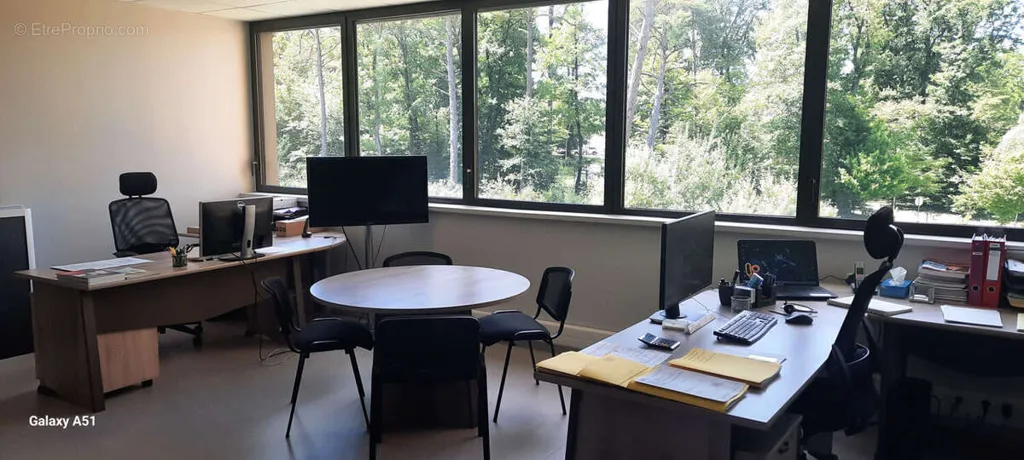 Office - Business Premises with Forest View in Auxons